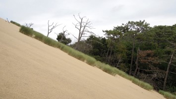 le Bassin d'Arcachon