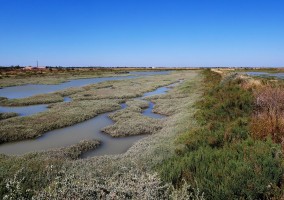 l'Île de Ré