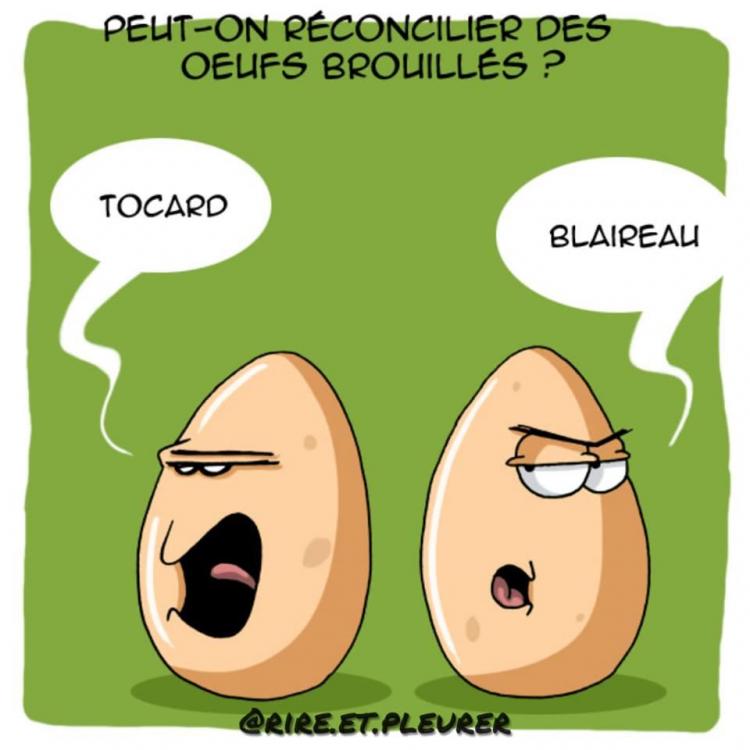 OeufsBrouilles