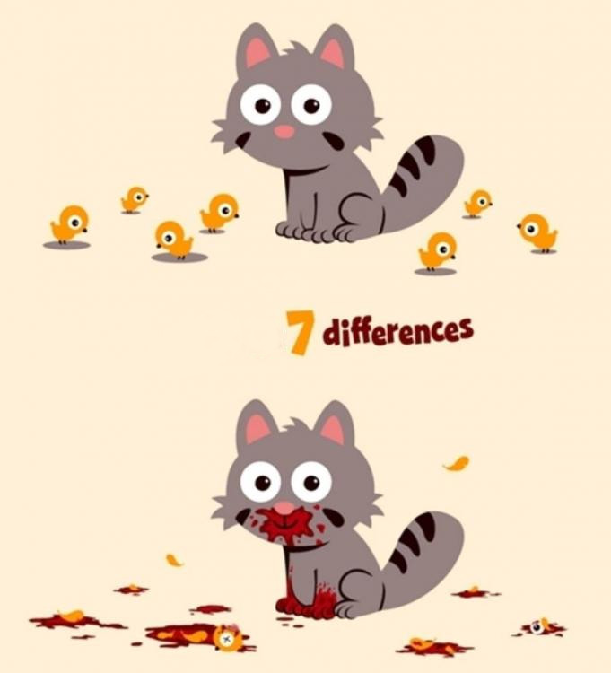 7differences