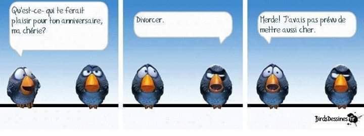 divorcer