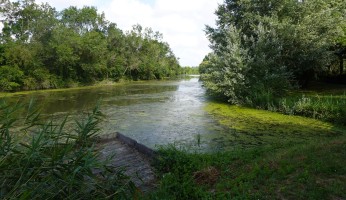 le Marais Poitevin